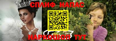 шишки Бузулук