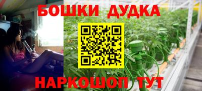 шишки Бузулук